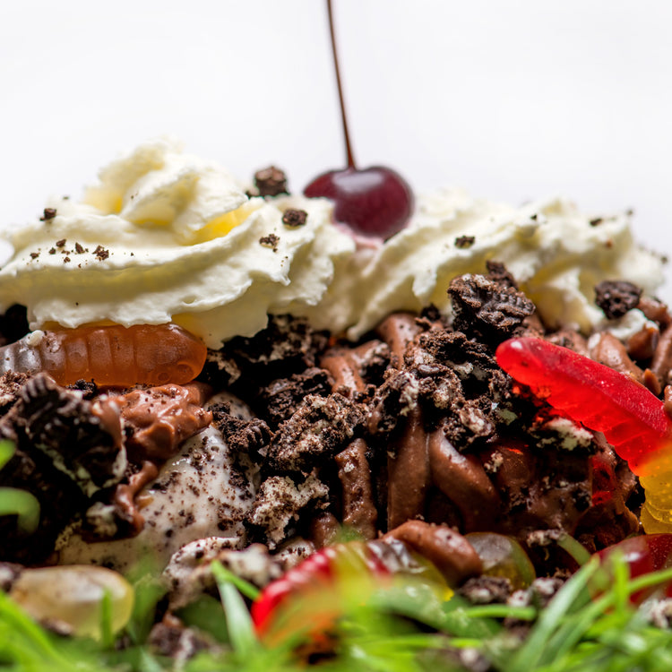 Spring Seasonal Sundae: The Worms & Dirt Sundae! – Sundae Ice Cream
